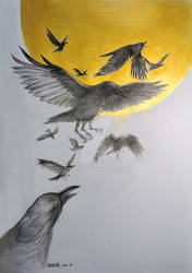 Chinese mythology-Golden crows