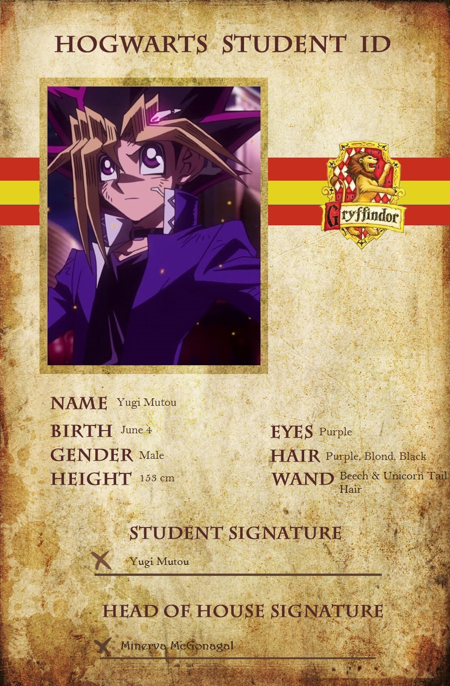 YU-GI-OH-GX-Characters-Sorted-Into-Hogwarts-Houses.jpg