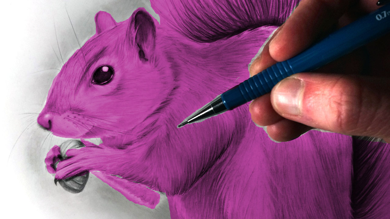 Purple Squirrel Art by PrincessAmulet16 on DeviantArt