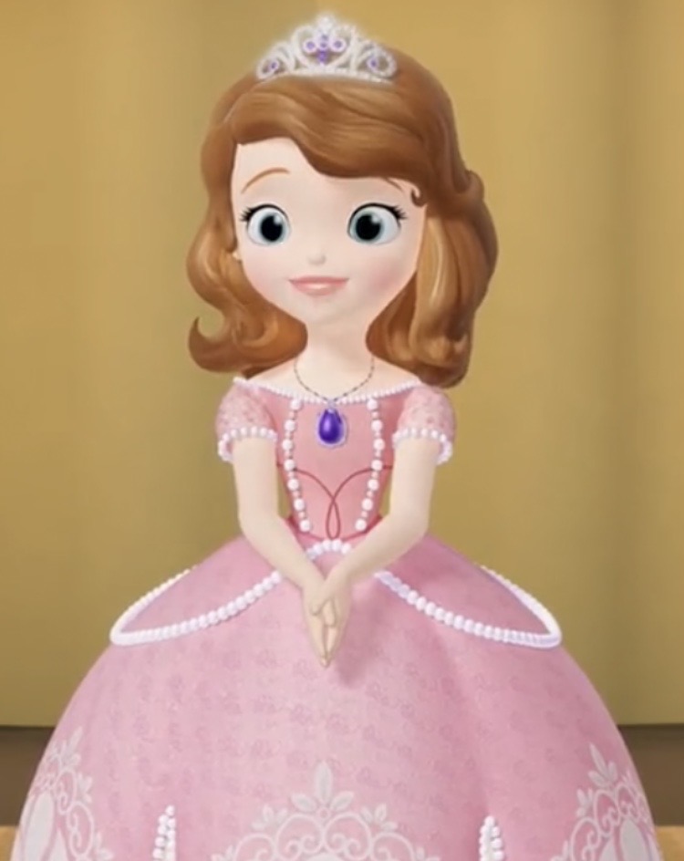sofia princess dress Sofia the First Princess Dress Gown Child