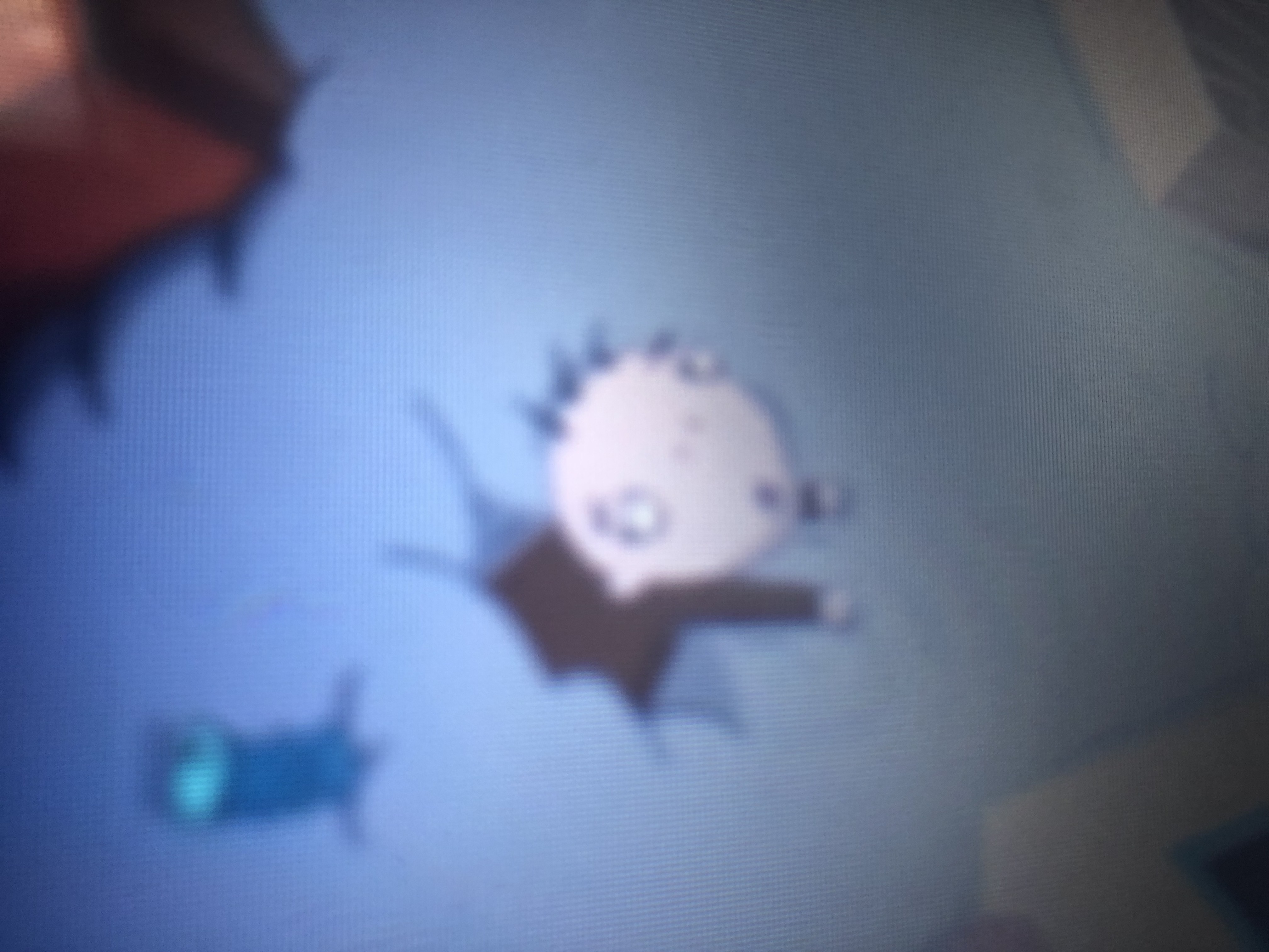 Tony Junk Dirt Rodeo Rita by PrincessAmulet16 on DeviantArt