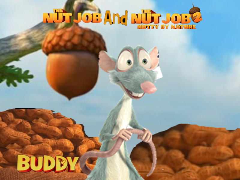 Buddy Rat 2014 8 by PrincessAmulet16 on DeviantArt