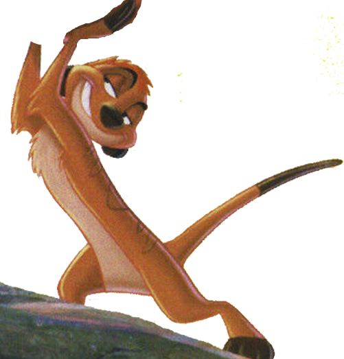 Nathan Lane Animated Actor Of 2004 Vector Timon 23 by PrincessAmulet16 ...