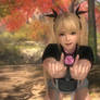 DEAD OR ALIVE 5 Last Round:Marie rose 03