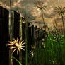 Wild Picket