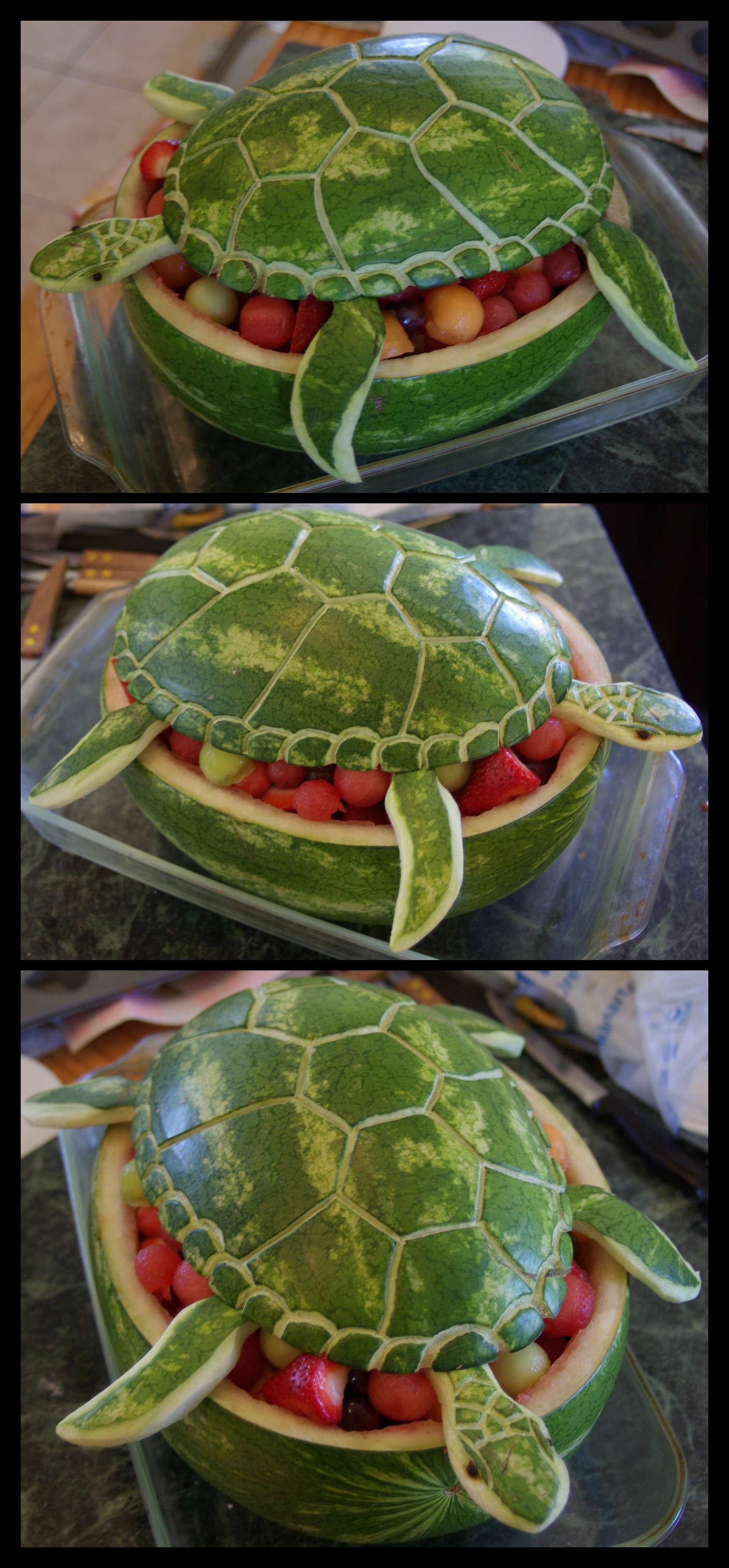 Watermelon Sea Turtle by Ti-7-4Raven