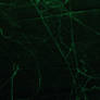Spider Web 001