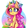 Fluttershy