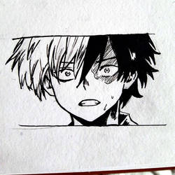 Todoroki Shouto