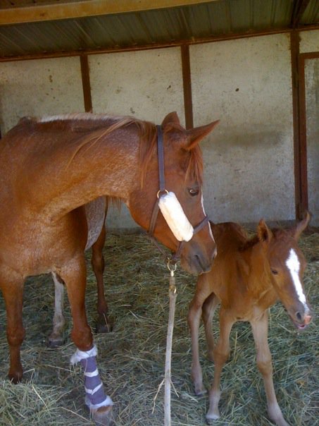 Sirah and Newborn