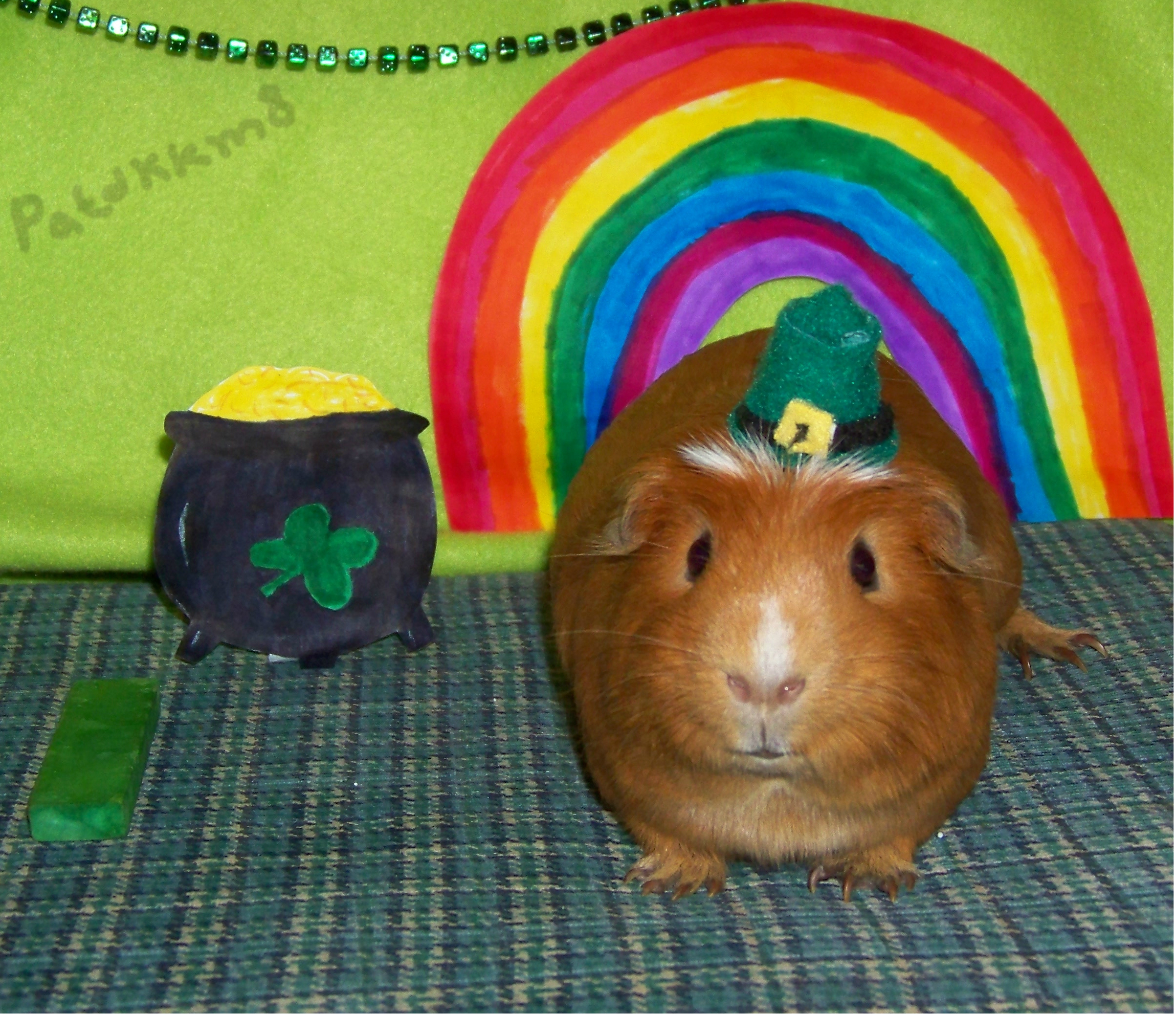 Happy St. Piggies' Day