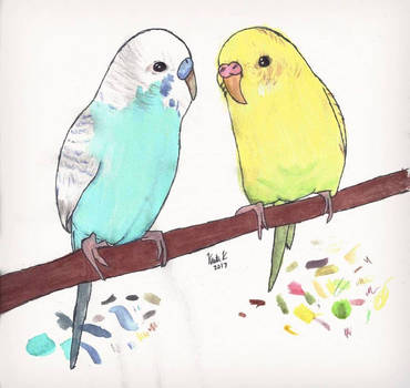 Birb Painting