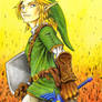 TLOZ - Twilight Hero