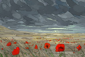 Poppies In The Storm