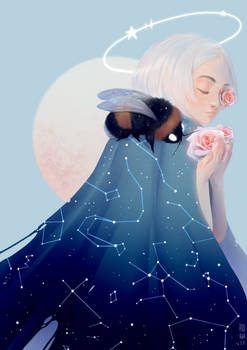 Roses, roses ...