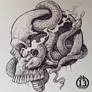 Skull full of snakes