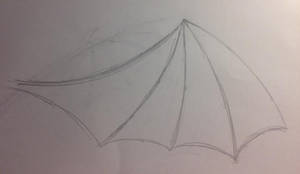 Bat/Dragon Wing Practice