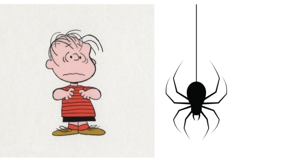 Linus Van Pelt Scared Of A Spider!! by badanon124 on DeviantArt