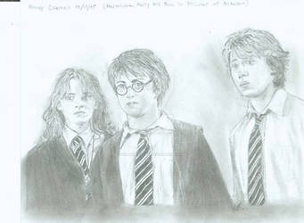 Hermione, Harry and Ron