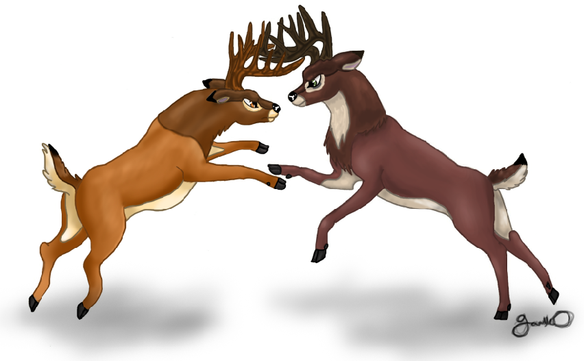 Bambi x Ronno: Rematch