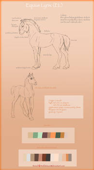 Equus Lynx EL breed sheet