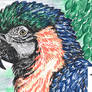 Macaw for Pen Store Talents '26 Drawing Challenge