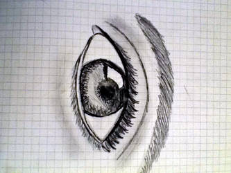 Eye