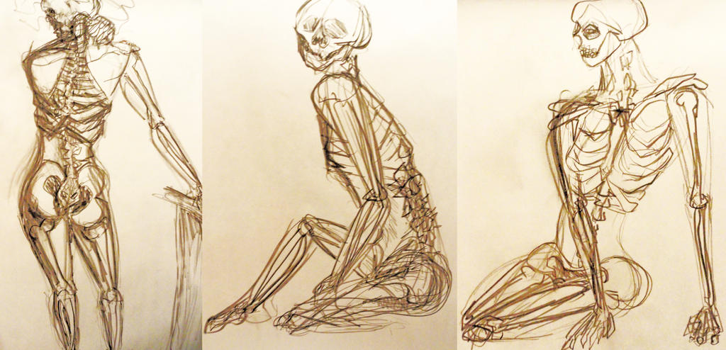 Miscevious Skeleton Spooky Scary Skeletons by rcsi1 on DeviantArt