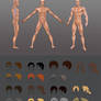 Male body and haircuts concepts