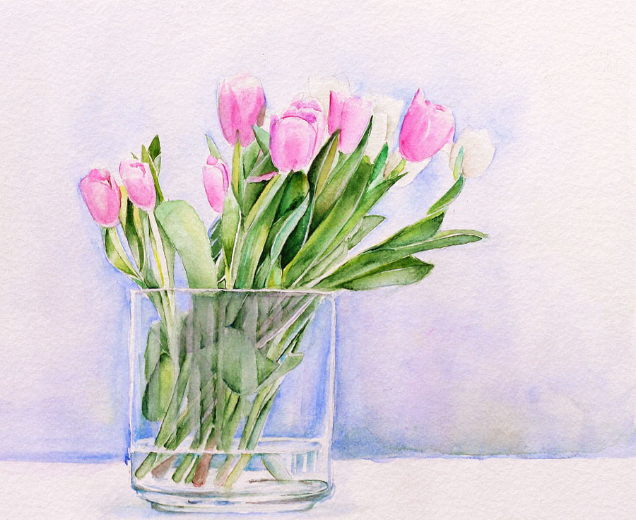 Tulips