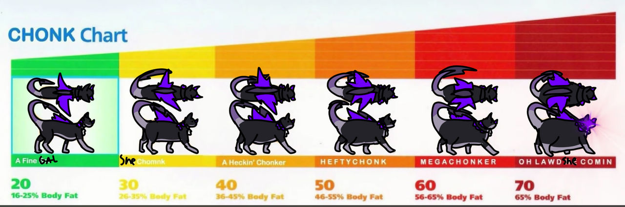 The Chonk Chart by TheJazziestNightwood on DeviantArt