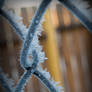 Chilly fence