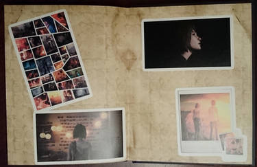 Life Is Strange Artbook /back