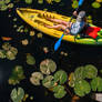 Kayak in Lily Pads