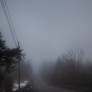 foggy road