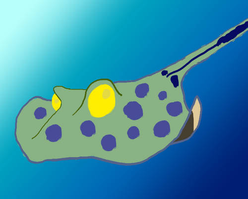 Blue Spotted Ray (Fish comp)