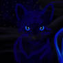 Starry Cat~Midnight