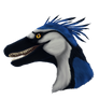 Blue Jay Raptor