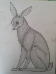 The hare