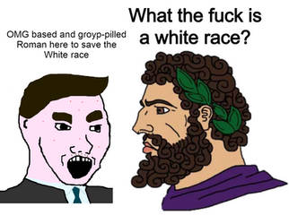Romans: What the fuck is a white race?