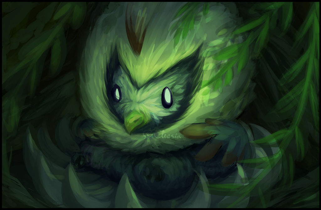 Pokemon Ruffuf Pokemon: Rufflet by Cleasia on DeviantArt