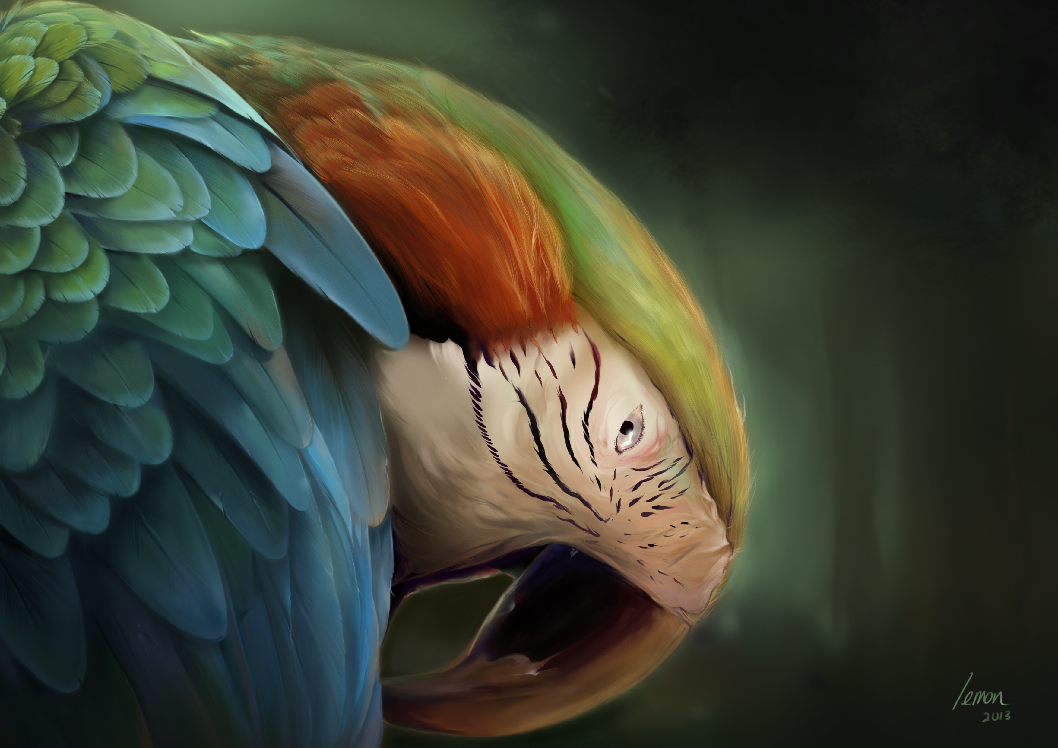 Digital Painting_Animal_Parrot