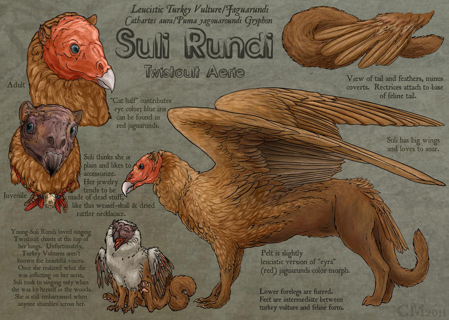 Suli Rundi Reference Sheet by Ciameth on DeviantArt