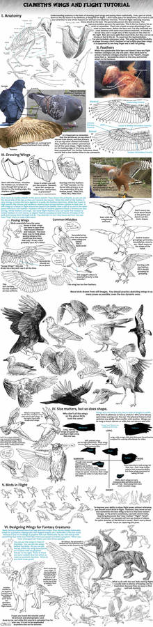 Ciameth's Wing Tutorial