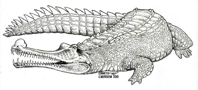 Inktober 13 - Gharial