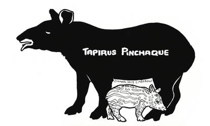 Endangered Inktober - Mountain Tapir