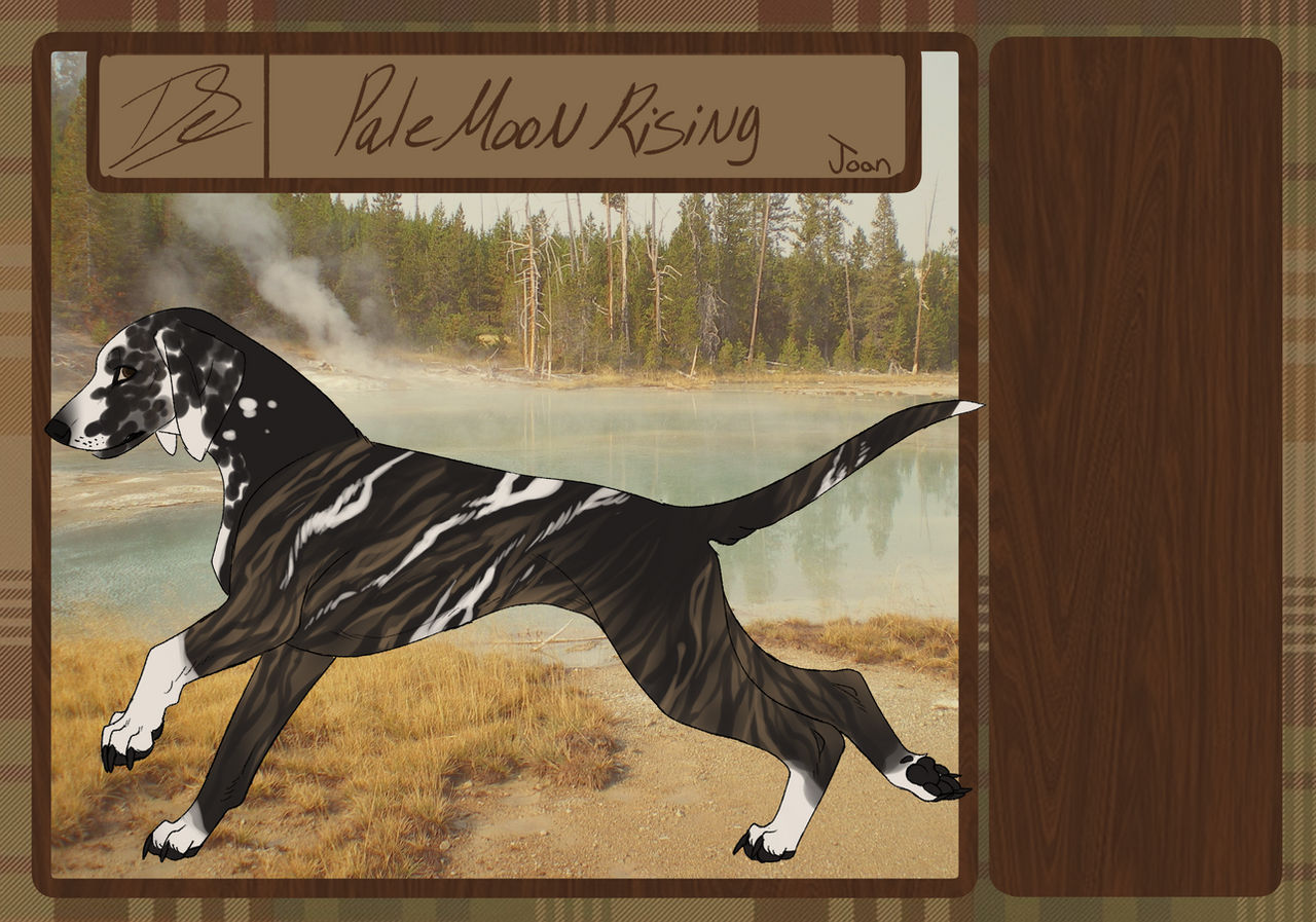 DSE Pale Moon Rising by Daystar-Estate on DeviantArt