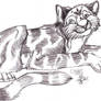 Young Tigress Cub