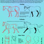 Horse Anatomy Tutorial