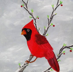 red cardinal in winter